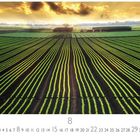 Text: "Planting Field." Unten Zahlen 1-31, hervorgehoben: 8, 22, 29. Sonnenuntergang über einem Feld mit grünen Streifen.