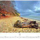 Kalenderblatt für den Monat 8, „Baltische Küste“. Sandstrand mit Treibholz, Herbstwald und bewölktem Himmel.