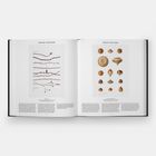 Links oben: "REGINE HAGEDORN", rechts oben: "MIEKO ISHIKAWA". Links: illustrierte Zweige, rechts: verschiedene Nüsse.