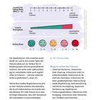 Oben: "Kurz und verständlich: Was ist Endometriose?" 
Diagramme mit Skalen zur Schmerzbewertung, Text über Regelbeschwerden.