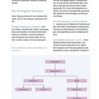 Seite 14: Wichtige Hormone beschrieben. Diagramm zeigt Cholesterin zu Pregnenolon, Progesteron, DHEA, Cortisol.