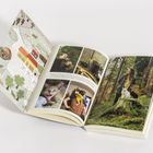 Links: "DAS HAUS", illustriert mit Zeichnungen von Tieren und Bäumen. Rechts Fotos von Katzen mit Menschen im Wald.