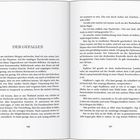 Der Text ist eine Erzählung mit dem Titel "DER GEFALLEN". Seitenzahlen 160 und 161. Enthält Dialoge und beschreibt mehrere Ereignisse.