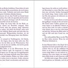 Kapitel 17. Zwei Seiten Text in zwei Spalten. Oben und unten sind Blumenmuster in kräftigen Farben dekoriert.