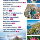 Nicht versäumen: Eine Liste von Reisezielen in Südafrika. Bilder zeigen eine Frau in traditioneller Kleidung, Elefanten und Landschaften.