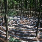 Keine sichtbaren Texte. Eine spiralförmige Steinstruktur im Wald, von Bäumen umgeben, mit Licht- und Schatteneffekten.
