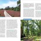 Links: "Im August bedeckt der lila Blütenteppich die Misselhorner Heide." Rechts: "Unter hochgewachsenen alten Eichen wandert es sich traumhaft schön." Die Bilder zeigen Wald- und Heidelandschaften. 