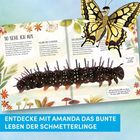„ENTDECKE MIT AMANDA DAS BUNTE LEBEN DER SCHMETTERLINGE.“ Illustration mit einem Buch über Raupen und Schmetterlinge.