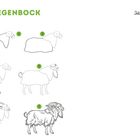 ZIEGENBOCK. „Jetzt bist du dran!“ Zeichenschritte 1 bis 7 zeigen die Entwicklung eines Ziegenbocks.