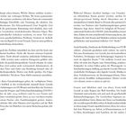 Seitenzahlen 16 und 17. Text über Muster in gesellschaftlichen Problemen und die Häufigkeit von Gewalt gegen Frauen.