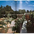 Das Bild zeigt eine Gartenlandschaft mit Steintreppe, Pflanzen und einem flachen Gebäude im Hintergrund unter blauem Himmel.