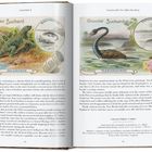 Cacao Suchard, Iguana tuberculata, JGUANODON. Chocolat Suchard, Chelonia midas, PLESIOSAURUS.