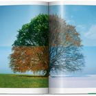 "Nature"; ein Baum in zwei Hälften: links grün und sommerlich, rechts kahl mit Schnee, repräsentiert Jahreszeiten.