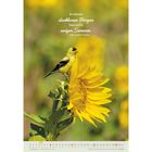 "In einem dankbaren Herzen herrscht ewiger Sommer." - Celia Layton Thaxter. Ein kleiner gelber Vogel auf einer Sonnenblume.