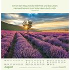 Zitat aus Johannes 14,6 über lila Lavendelfeld mit Baum, im Sonnenuntergang. Kalender für August mit hervorgehobenen Sonntagen.