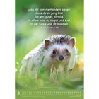 Ein Igel im Gras, darüber ein Zitat: „Lass dir von niemandem sagen, dass du zu jung bist...nach 1. Timotheus 4,12“. Unten ist ein Kalender für August.