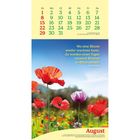 Kalender für August mit einem Zitat von Phil Bosmans über Blumen. Darunter blühende Mohnblumen auf einem Feld unter blauem Himmel.