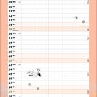 Kalender für August mit Katzentatzen, „Termine im“, „NAME“, Illustration von Katzen bei Sonnenuntergang.