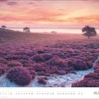 Kalenderblatt mit August und Datum. 
Heidelandschaft im Morgenlicht mit lila Blüten, Bäumen und Nebel im Hintergrund.