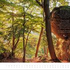 Im Wald, im Wald — Gedichtauszug. Sonnenlicht fällt durch dichte, grüne Baumkronen auf einen moosbewachsenen Felsen.