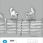 "Fortsetzung folgt ...", "8. JAN KW 1 Freitag". Zwei erschrockene Katzen auf einem Holzzaun, eine unten liegend. Illustrationsstil.