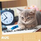 Zu kalt. Zu früh. Zu Montag. Im Hintergrund eine Uhr, davor eine graue Katze auf einem Kalenderblatt für August.