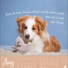 Text: "Wenn du einen Freund verlierst, weil du ehrlich warst, dann war es auch kein Freund." Hund mit Plüschtier. August-Kalender.