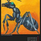 Die drei ??? und der Ameisenmensch, 1983. Illustration einer großen, schwarz-blauen Ameise auf orangefarbenem Hintergrund. August-Kalender.