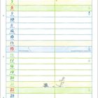 Kalenderseite für August, illustriert mit Tieren, die Sommeraktivitäten ausüben, wie Surfen und Entspannen in einer Wanne.