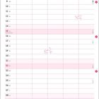 1. Nationalfeiertag (CH); 15. Maria Himmelfahrt; Die Nachbarskatze grüßen; Die Tierärztin begrüßen; AUGUST.