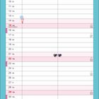 Kalender für August. Oben Feiertage, unten Hello Kitty in rosa Kleid mit Getränk, diversen Illustrationen.