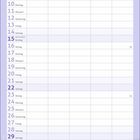 Kalenderblatt für August mit Wochentagen; unten ist ein Katzenbaby in einem Garten mit lila Blumen.