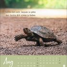 "Fürchte dich nicht, langsam zu gehen, aber fürchte dich, stehen zu bleiben. Chinesisches Sprichwort." Eine Schildkröte.