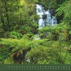 "August" steht links unten. Kalenderblätter für den Monat darunter. Üppiger Wald mit Wasserfall im Hintergrund.