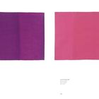 Links Text: "Truit 67 [33], 1967", rechts Text: "Truit 67 [20], 1967". Zwei abstrakte Farbflächen, links lila, rechts rosa.