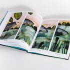 springt, fängt, taucht, schluckt. Ein illustriertes Buch mit Fischen, die in verschiedenen Stadien der Bewegung gezeigt werden.