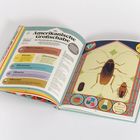 Text: Die Amerikanische Großschabe. Seite zeigt farbige Grafiken und Illustrationen von Schaben mit dekorativen Elementen.