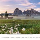 August 2021 Kalender. Grüne Wiese mit weißen Blumen, im Hintergrund Berge und Nebel.