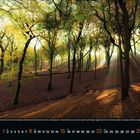 Kalender für Oktober 2023. Sonnenstrahlen fallen durch bunte Herbstbäume in einem Wald.