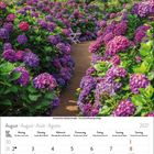 Wochenübersicht für August 2027 mit Feiertagen. Bild: Gartenweg mit blühenden violetten und rosa Hortensien.