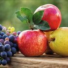 Keine sichtbaren Texte. Ein Arrangement aus roten Äpfeln, gelber Birne und violetten Trauben auf einer Holzoberfläche.