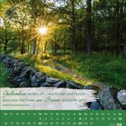 „Gedanken wollen oft – wie Kinder und Hunde –, dass man mit ihnen im Freien spazieren geht.“ Waldweg bei Sonnenschein.