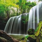Rauschender Wasserfall in grüner Waldlandschaft, Wasser fällt über Felsen, umgeben von üppiger Vegetation.