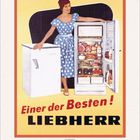 „Einer der Besten! LIEBHERR“. Frau in blau-weiß gepunktetem Kleid steht neben offenem Kühlschrank voller Lebensmittel.