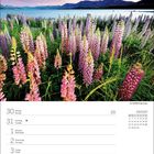 Zitat: "Das Glück ist verschwenderisch, aber unbeständig." Kalender für September, blühende Lupinen vor einem See.