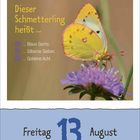 Dieser Schmetterling heißt ... Blaue Sechs, Silberne Sieben, Goldene Acht. Freitag 13 August. Ein gelber Schmetterling.