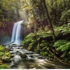 Kalenderdaten für Januar 2024. Ein Wasserfall in einem üppigen Wald mit grünen Farnen und fließendem Wasser.