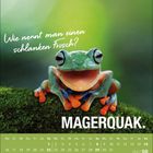Text: "Wie nennt man einen schlanken Frosch? MAGERQUAK." Ein lächelnder Frosch sitzt auf Moos. Darunter ein Kalender für August 2027.