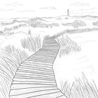 Eine schwarz-weiße Illustration zeigt einen Holzweg durch Dünen mit hohem Gras, im Hintergrund ist ein Leuchtturm.