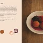 "Aprikosen-Umeboshi, Einlegezeit: 3 Wochen, Lagerung: gekühlt bis zu 1 Jahr haltbar." Links Text, rechts Aprikosen auf Teller.